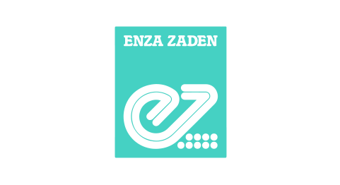 Enza Zaden_Mint-1